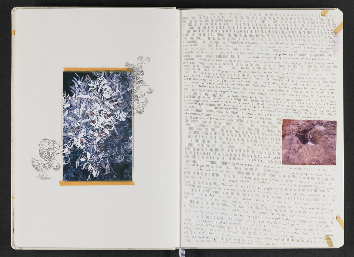 Kunstbok produsert av kunstner Sara Skorgan Teigen. Boken er håndskrevet og med innlimte fotografier, blyanttegninger, originale postivfotografier, silketrykk og tekstiltrykk. Førsteutgave kom ut i et opplag på 750 eksemplarer, og 10 eksemplarer kom i et begrenset opplag med originale verk, hvorav dette er # 2/10.