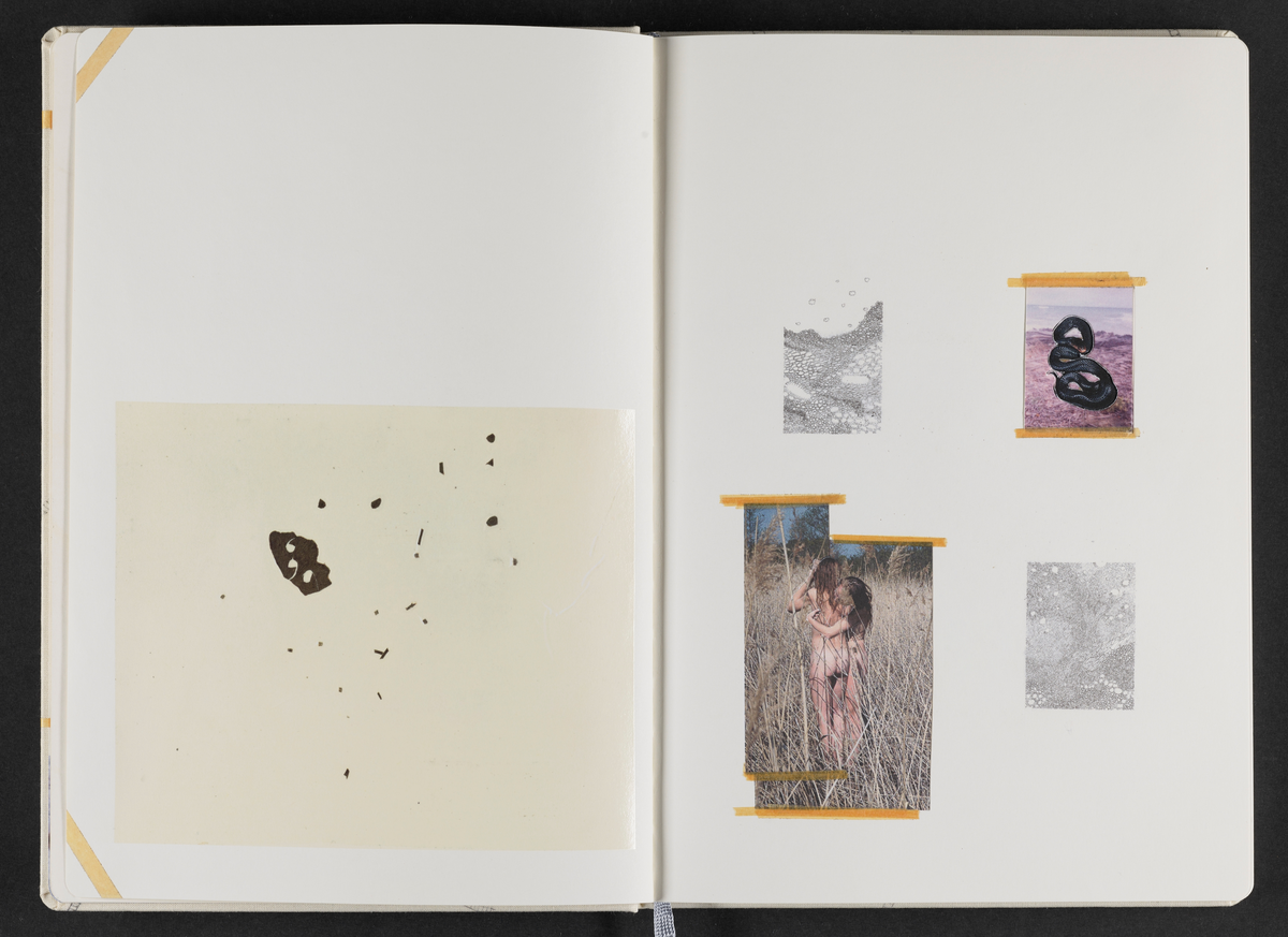 Kunstbok produsert av kunstner Sara Skorgan Teigen. Boken er håndskrevet og med innlimte fotografier, blyanttegninger, originale postivfotografier, silketrykk og tekstiltrykk. Førsteutgave kom ut i et opplag på 750 eksemplarer, og 10 eksemplarer kom i et begrenset opplag med originale verk, hvorav dette er # 2/10.
