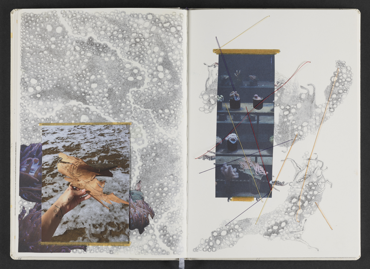 Kunstbok produsert av kunstner Sara Skorgan Teigen. Boken er håndskrevet og med innlimte fotografier, blyanttegninger, originale postivfotografier, silketrykk og tekstiltrykk. Førsteutgave kom ut i et opplag på 750 eksemplarer, og 10 eksemplarer kom i et begrenset opplag med originale verk, hvorav dette er # 2/10.
