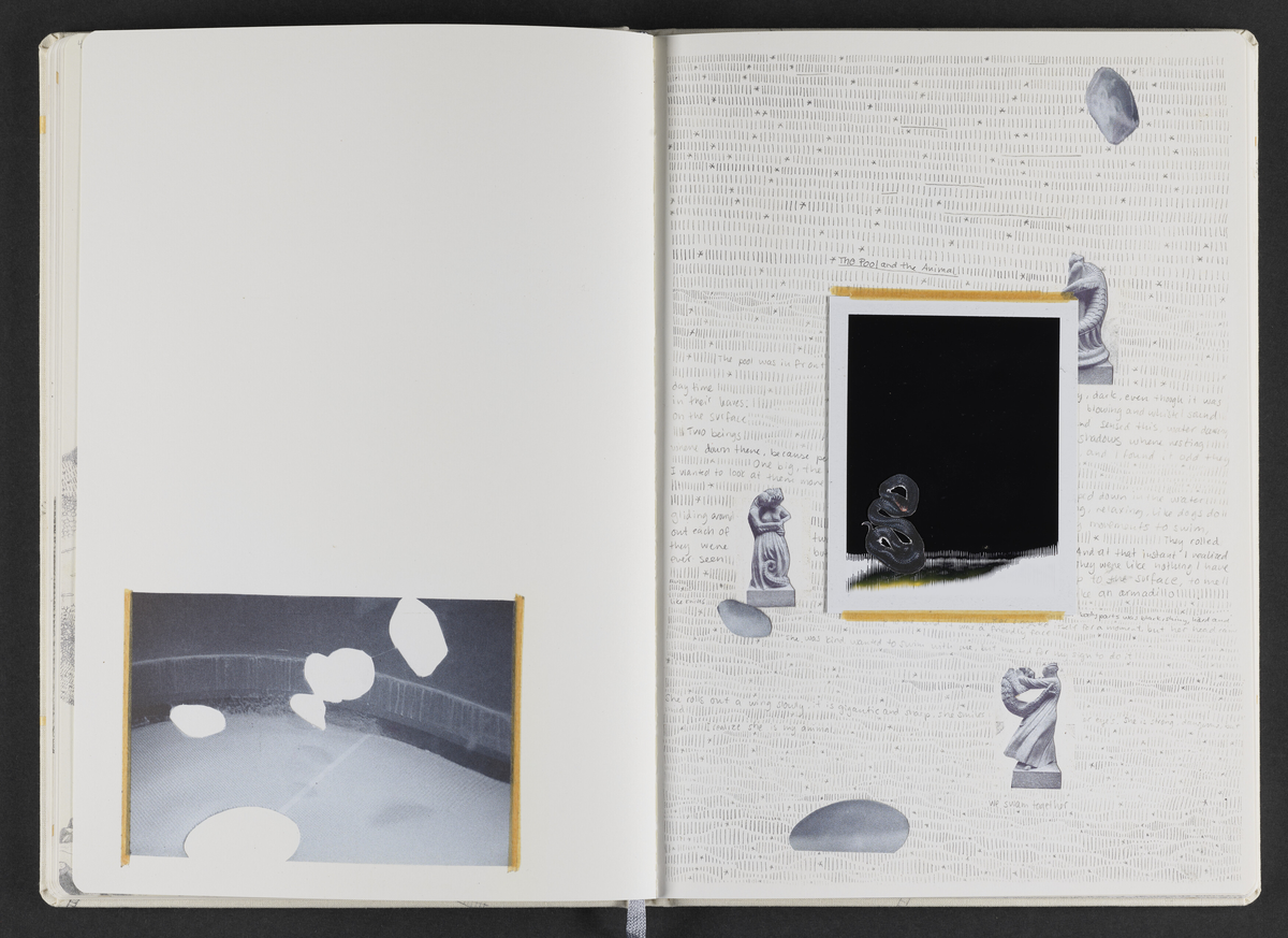 Kunstbok produsert av kunstner Sara Skorgan Teigen. Boken er håndskrevet og med innlimte fotografier, blyanttegninger, originale postivfotografier, silketrykk og tekstiltrykk. Førsteutgave kom ut i et opplag på 750 eksemplarer, og 10 eksemplarer kom i et begrenset opplag med originale verk, hvorav dette er # 2/10.