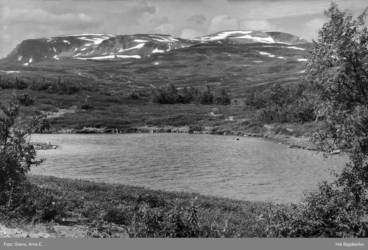Landskap, Skurdalsåsen, sommar, Hallingskarvet, tjern,