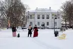 Vänersborg museum. Vinter i Museiparken