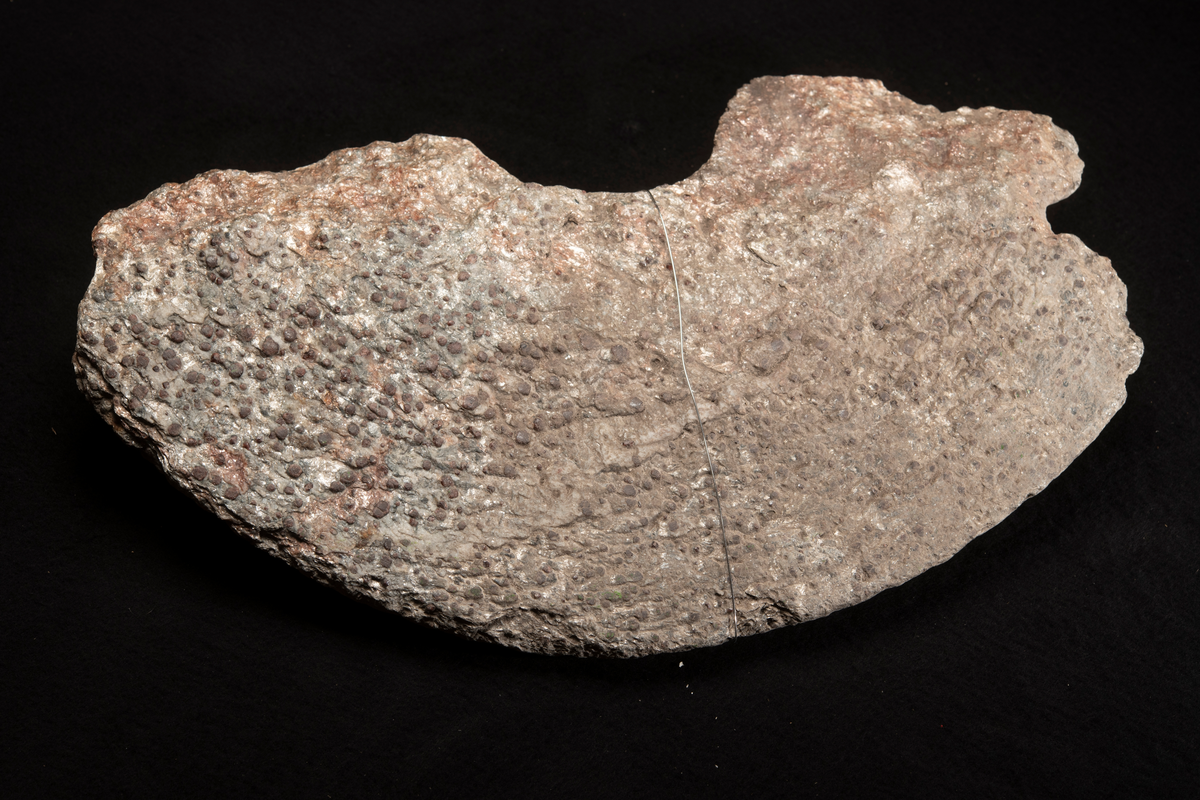 Fragment av handkvarnsten. Beräknas haft en diameter av 46 cm.