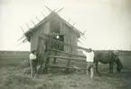 Fläckebo sn, Gussjö.
Hösläpan vältes vid ladan, 1925.