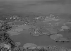 Flygfoto över Linghed, Falu kommun, år 1950.