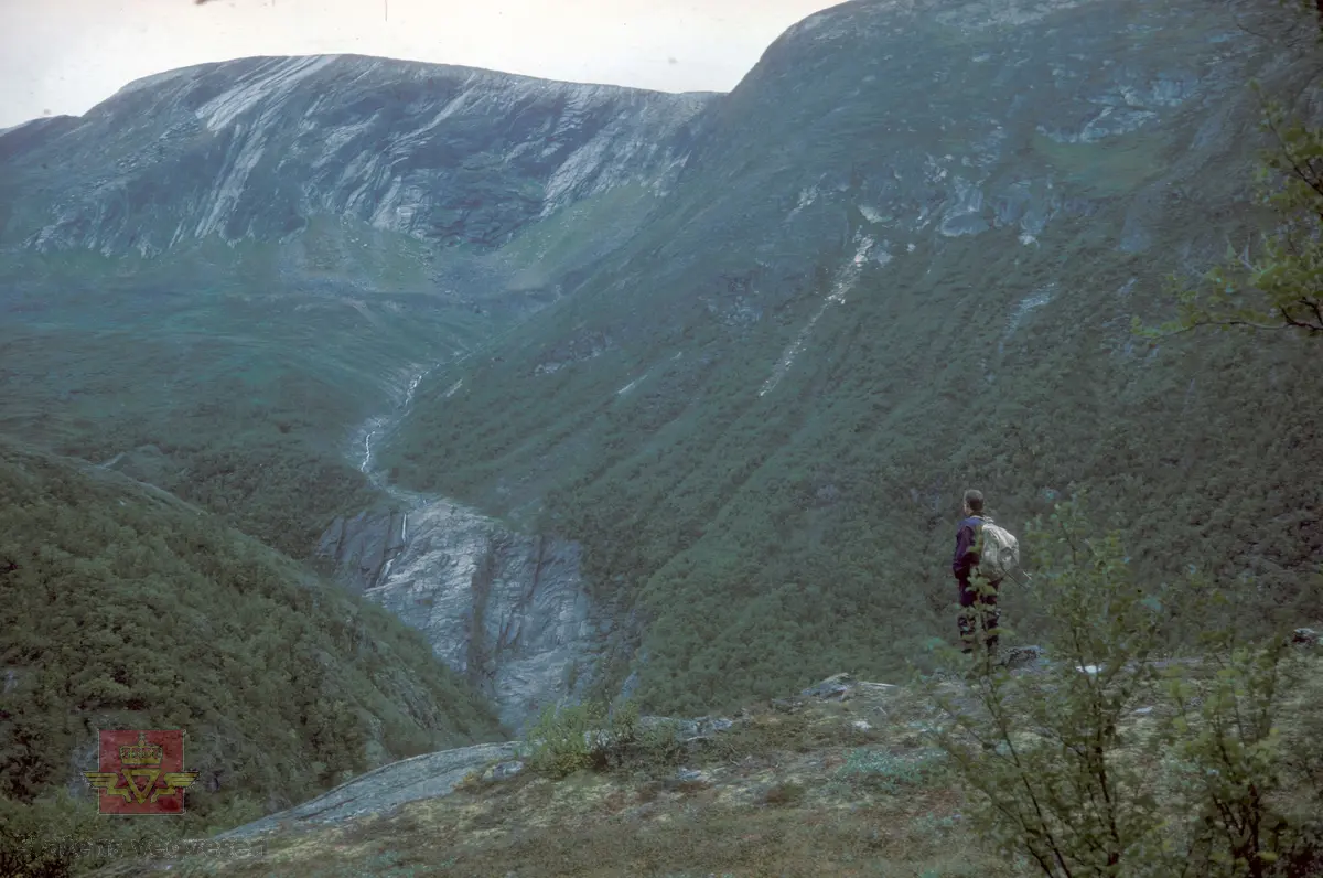 Tingsvaet på toppen av Vårstigen.