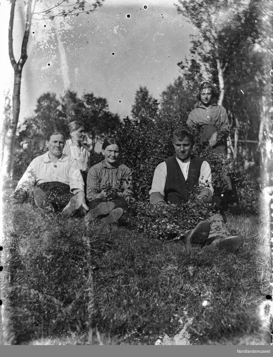 Tre kvinner og en mann som sitter på gresset med bjørkekvister på fanget, en ung jente står bak kvisthaugen.