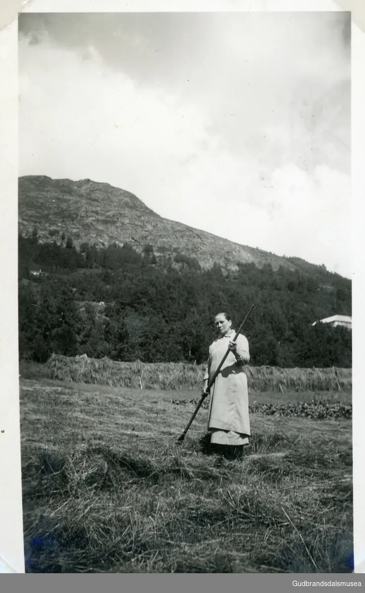 Nordherad, Vågå
Mari Sveum 1877-1959,  med hesjer bak seg og rive

Innlånt album frå Mari Sveum Øyen 2023