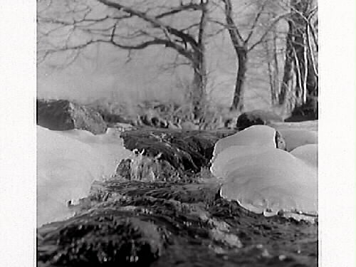 Vinterbilder av en bäck som rinner mellan Ölmevallasjön och byfjorden.