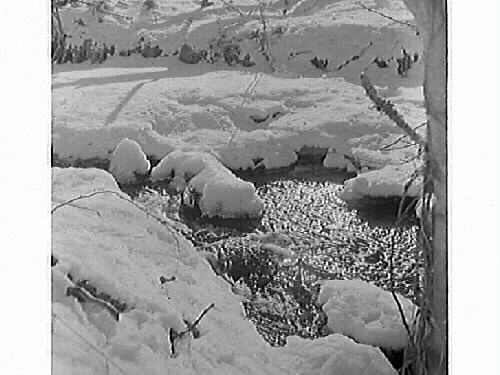 Vinterbilder av en bäck som rinner mellan Ölmevallasjön och byfjorden.