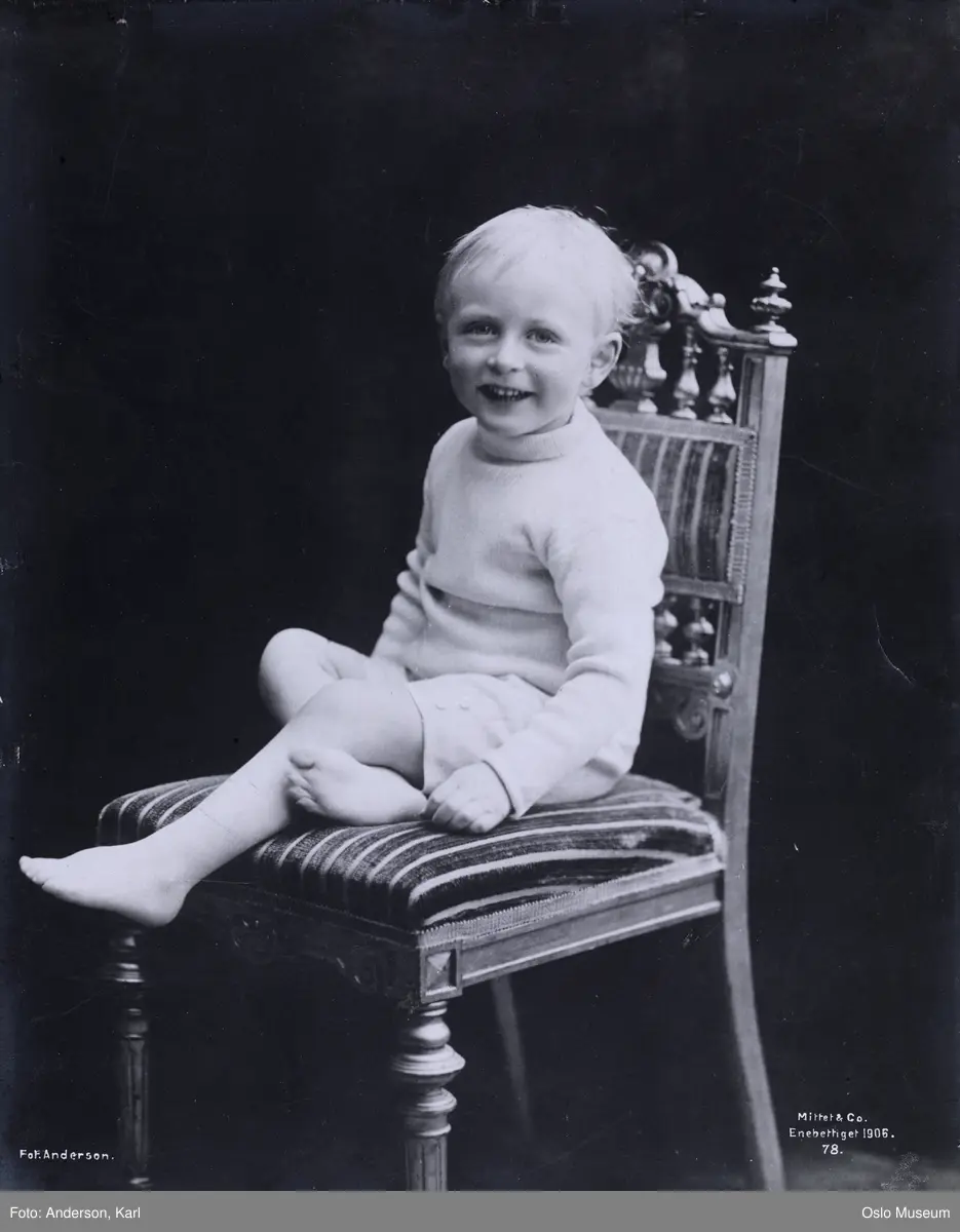 portrett, prins, sittende helfigur