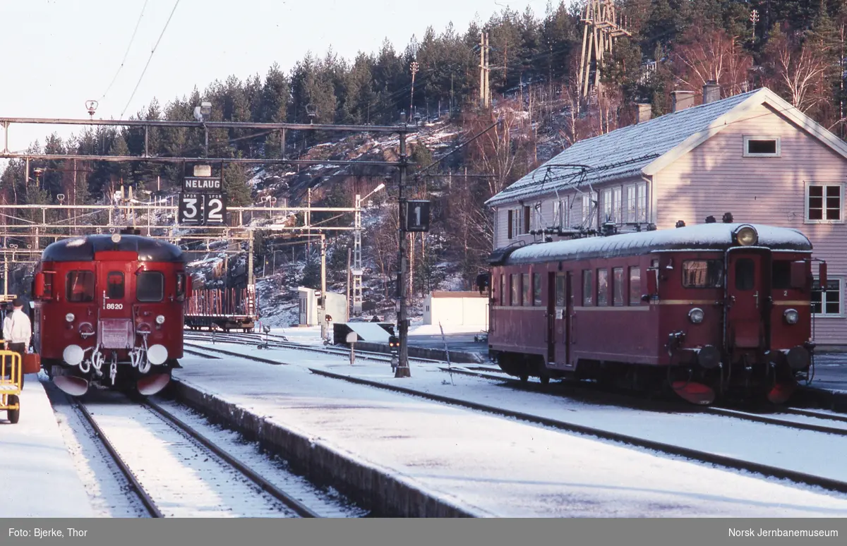 Nelaug stasjon med motorvogner BM86M 20 og BM67