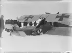 Folksamling vid havererat militärt flygplan Aviatik nr 30.14  tillhörande Österrike-Ungern, efter kollision med flygplan Brandenburg B.1 nr 05.26 den 9 februari 1917. Vy bakifrån.