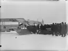 Folksamling vid havererat militärt flygplan Aviatik nr 30.14  tillhörande Österrike-Ungern, efter kollision med flygplan Brandenburg B.1 nr 05.26 den 9 februari 1917. Vy från sidan.