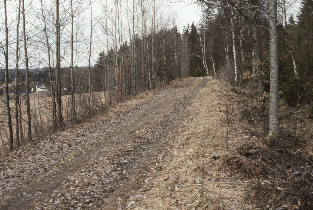 Gammel Drøbakvei ved Skorkeberg