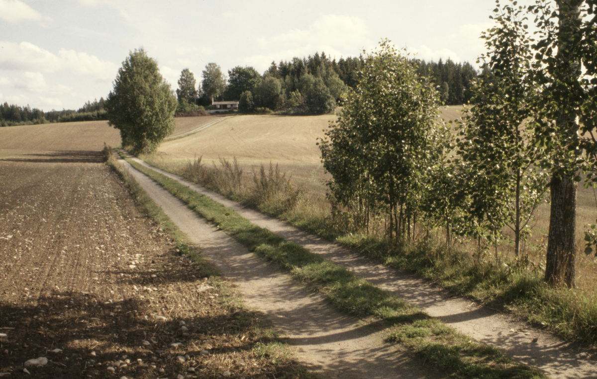 Gamle Kirkeveg