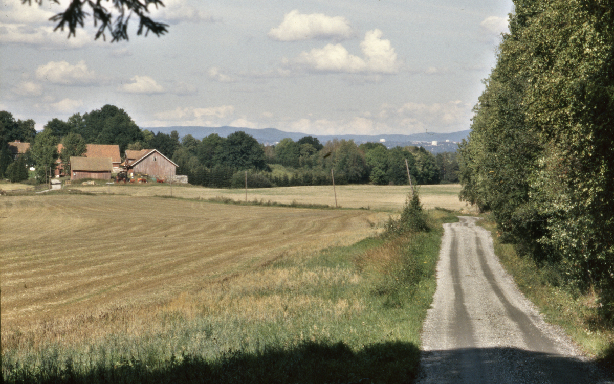 Vei med gårdsbruk i bakgrunnen