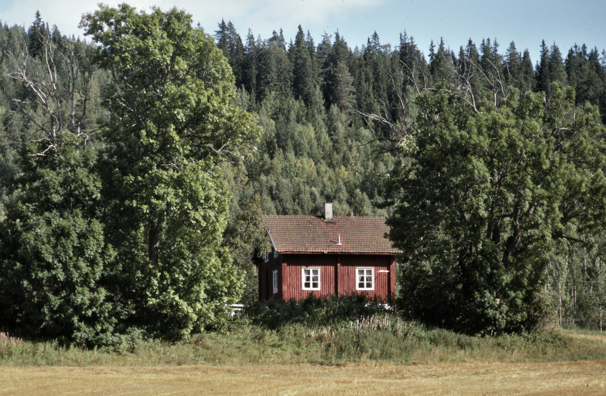 Plass under Bjørnholt