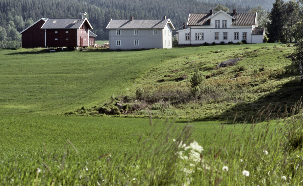 Våler gård ved Lierfoss