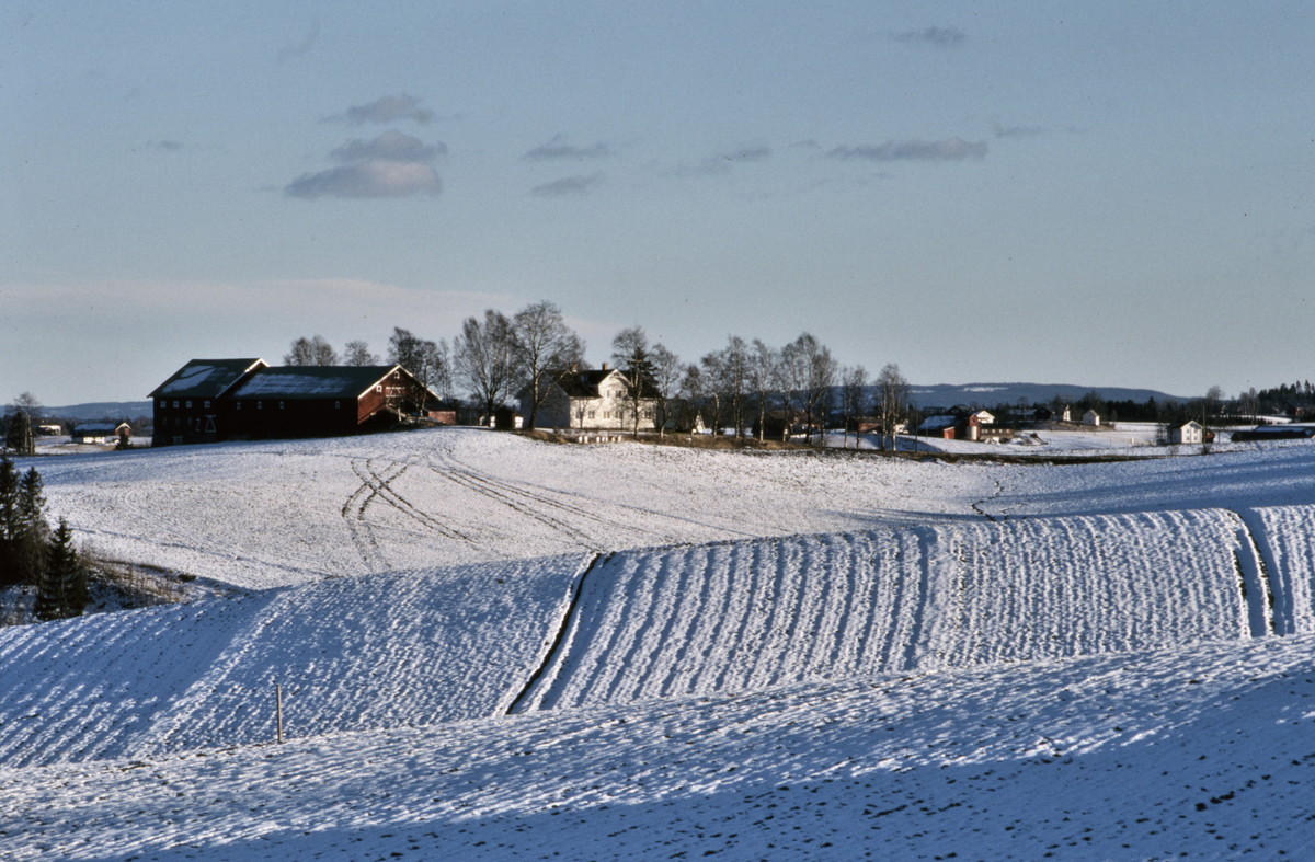 Sjøvoll ved Stensgård. Landbruks-bebyggelse, snødekte jorder