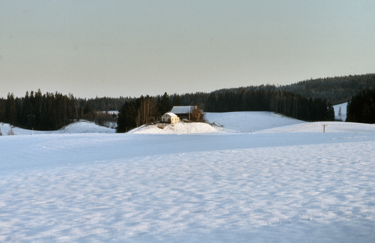 Snødekte jorder, gårder