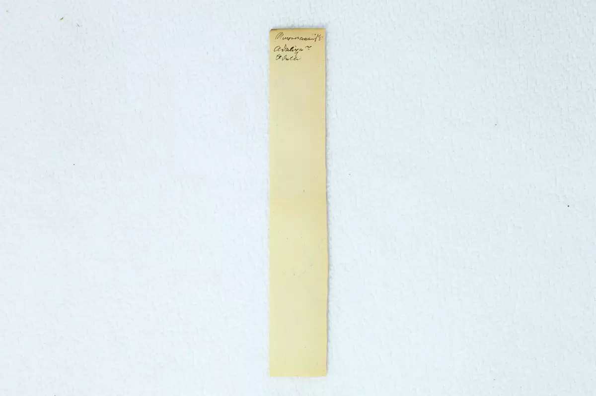 Fragment funne i tidsskriftet "Folkevennen"
- 1862/3 s. 266
- 1865/4 s. 292
- 1877/3 s. 274
- 1877/6 s. 552
- 1878/2 s. 162
- 1880/4 s. 280
- 1881/2 s. 185
- 1882/5&6 s. 407
- 1885/3 s. 288
- 1886/1&2 s. 28
- 1895/3 s. 156