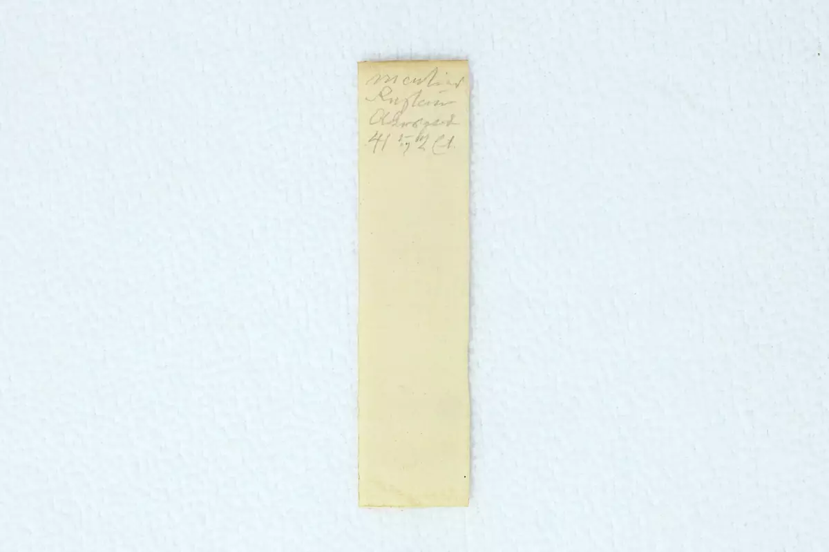Fragment funne i tidsskriftet "Folkevennen"
- 1862/3 s. 266
- 1865/4 s. 292
- 1877/3 s. 274
- 1877/6 s. 552
- 1878/2 s. 162
- 1880/4 s. 280
- 1881/2 s. 185
- 1882/5&6 s. 407
- 1885/3 s. 288
- 1886/1&2 s. 28
- 1895/3 s. 156