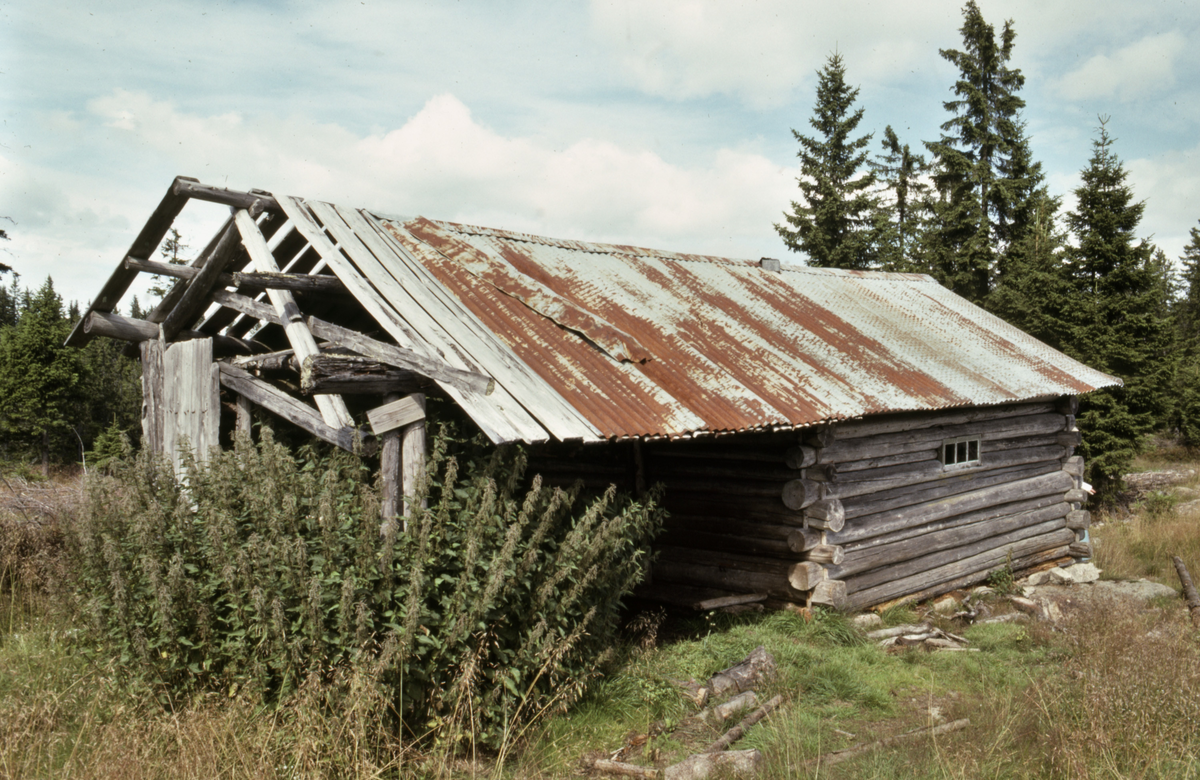 Holkoia på Feiringåsen. Skogsarbeiderkoie oppført i luselaft. Eksteriør