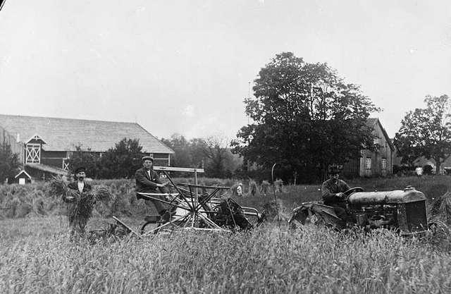 Prot: Gjestvang traktor