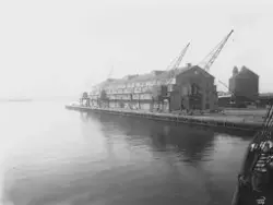 Prot:   Amerikalinjen