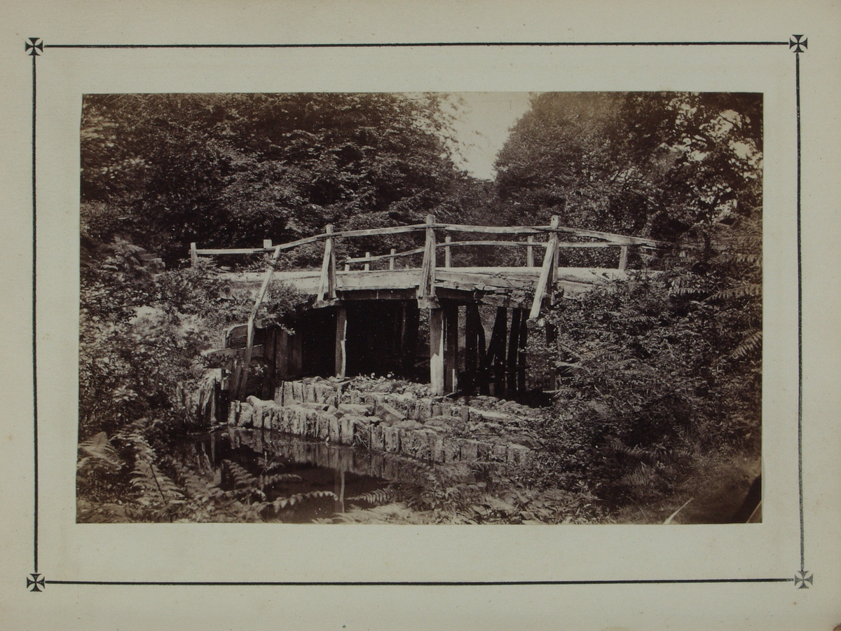Bok på 116 s. med kart og beskrivelse av skogsområdet New Forest i Hampshire. Boken inneholder 10 fotografier som limt inn i boken. Fotografiene er tatt av John Golden Short.