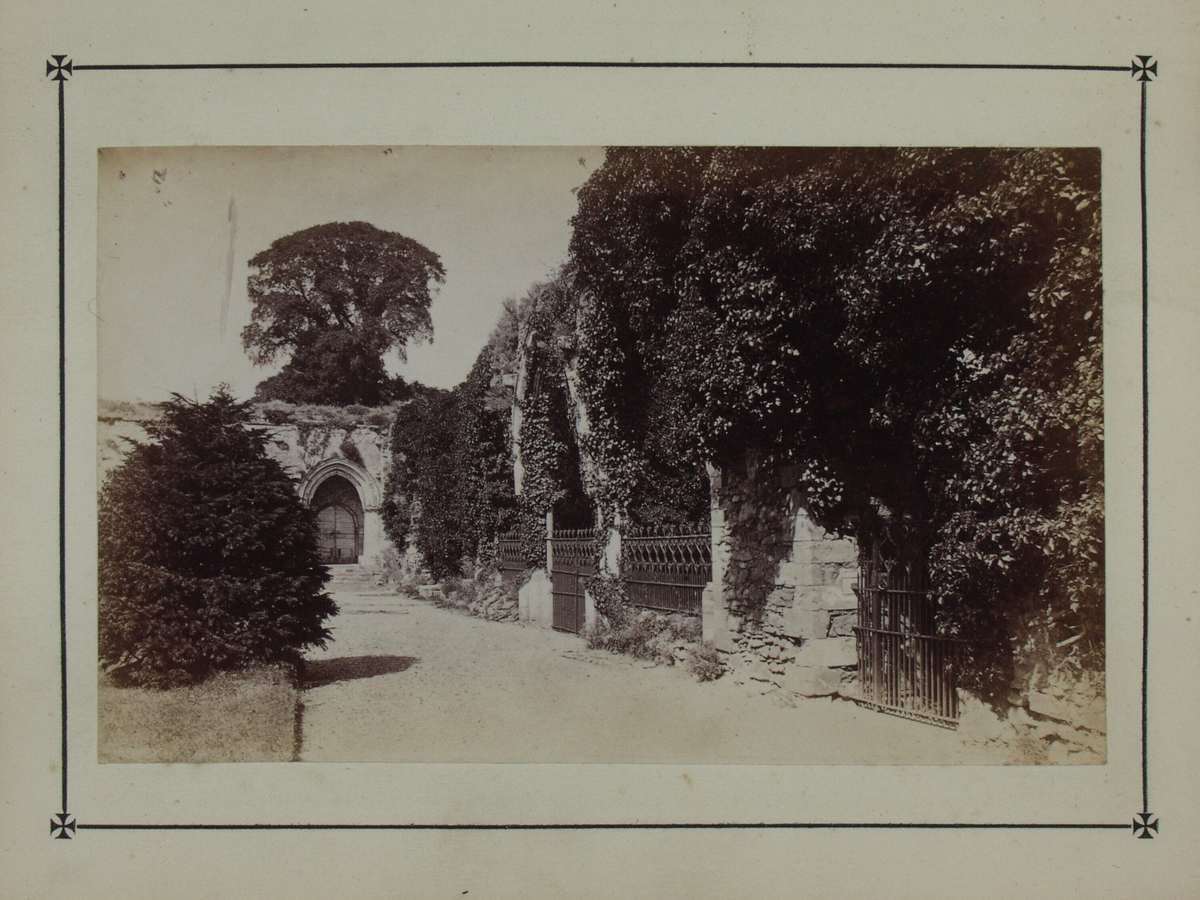 Bok på 116 s. med kart og beskrivelse av skogsområdet New Forest i Hampshire. Boken inneholder 10 fotografier som limt inn i boken. Fotografiene er tatt av John Golden Short.