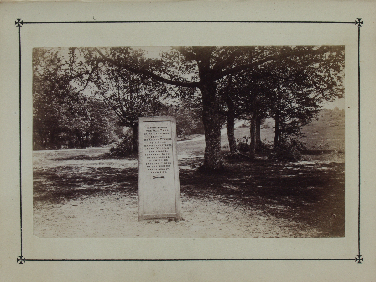 Bok på 116 s. med kart og beskrivelse av skogsområdet New Forest i Hampshire. Boken inneholder 10 fotografier som limt inn i boken. Fotografiene er tatt av John Golden Short.