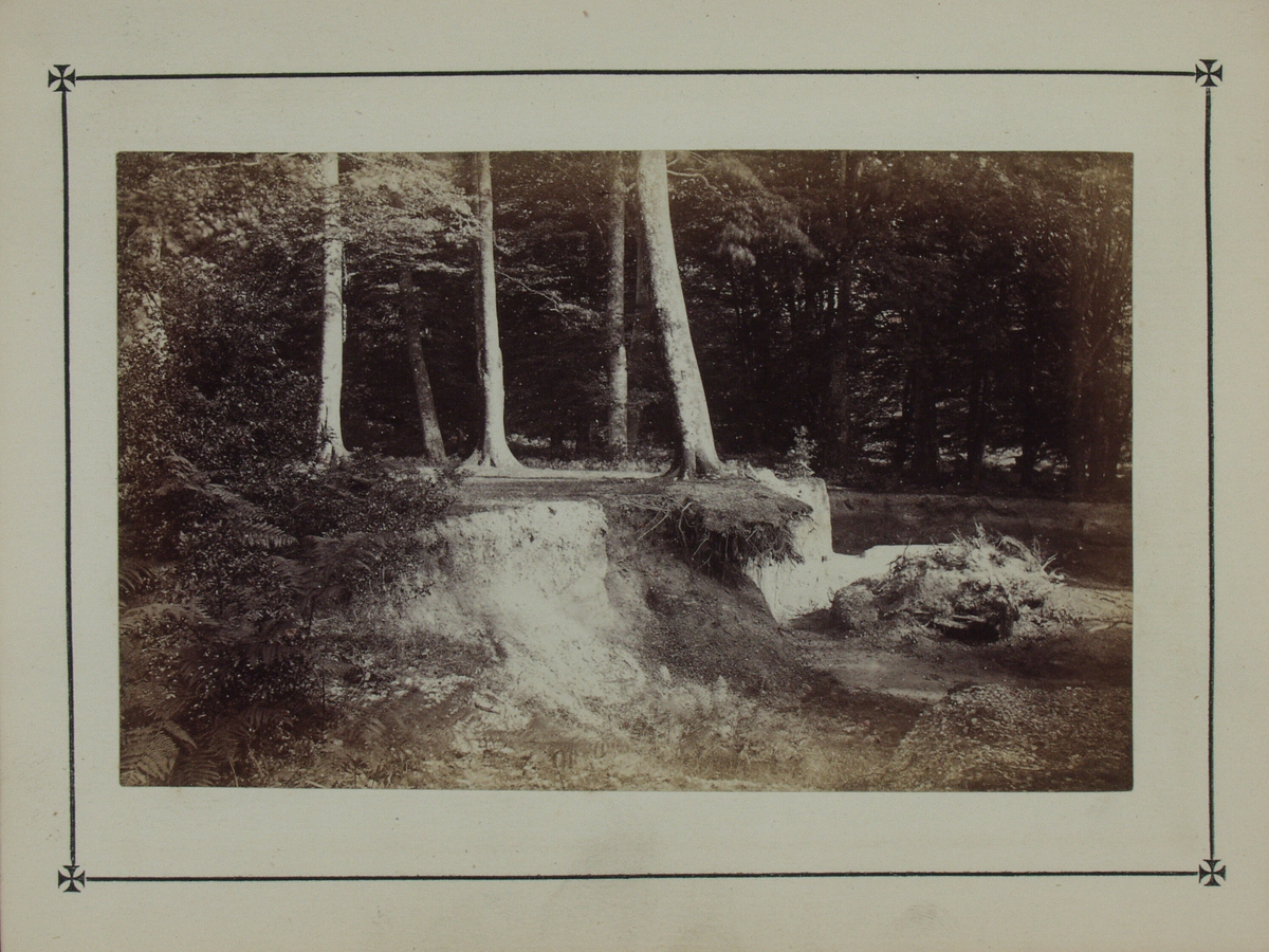 Bok på 116 s. med kart og beskrivelse av skogsområdet New Forest i Hampshire. Boken inneholder 10 fotografier som limt inn i boken. Fotografiene er tatt av John Golden Short.