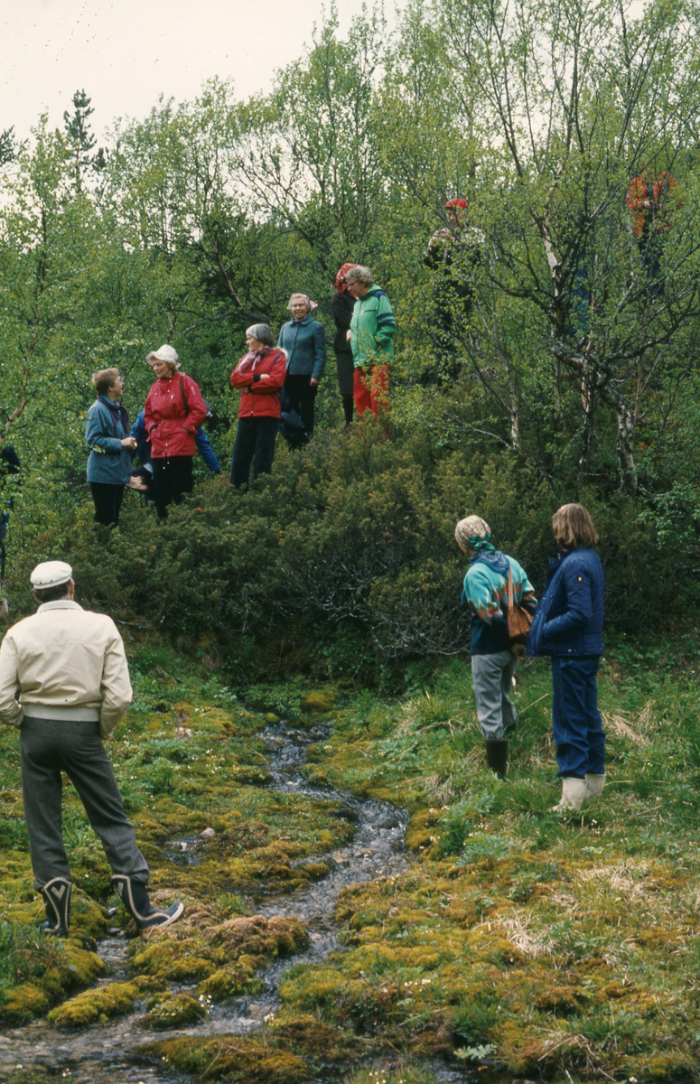 Folk i naturen