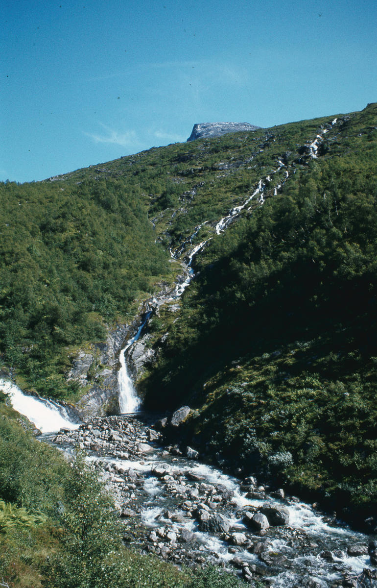 Bilder fra Sogn og Fjordane. 1981