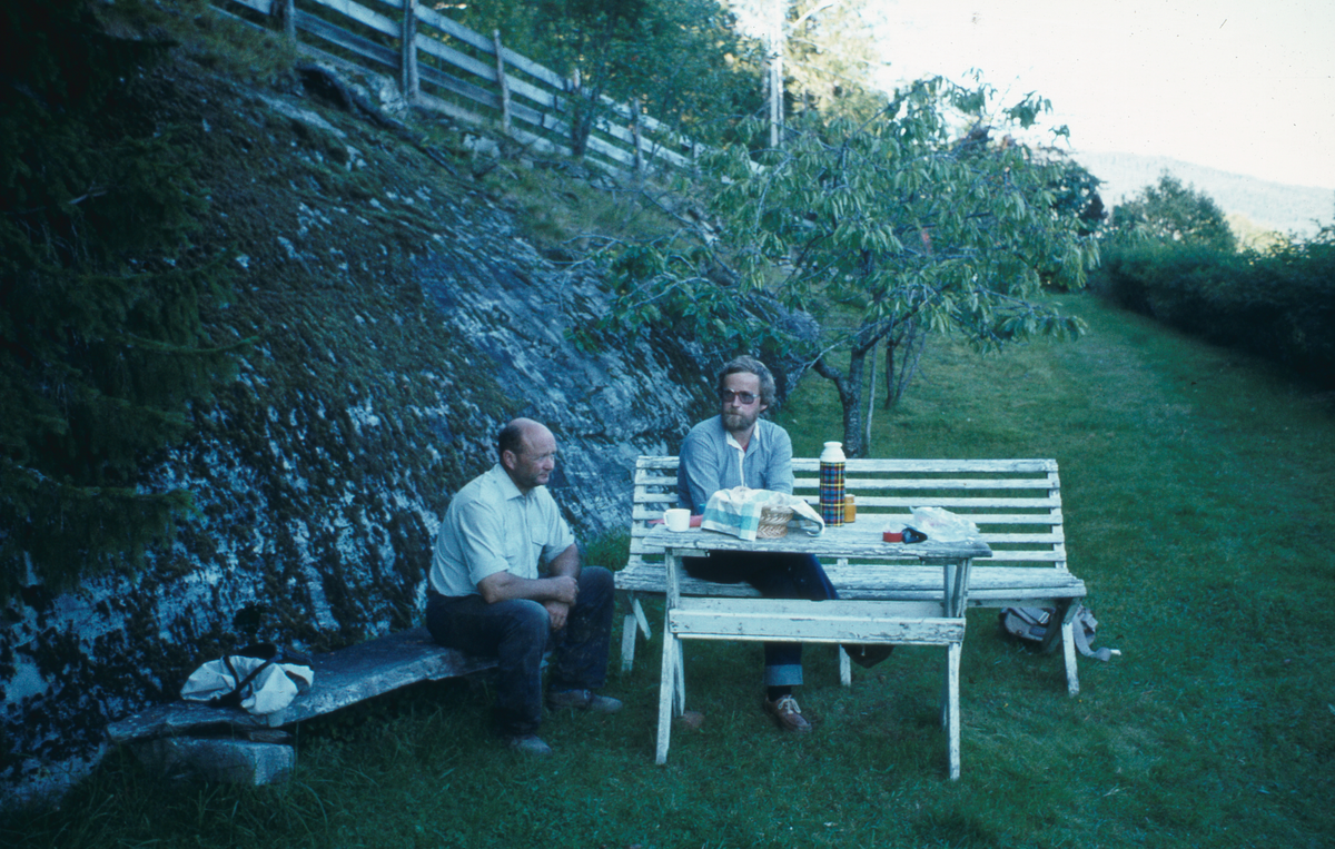 Bilder fra Sogn og Fjordane. 1981