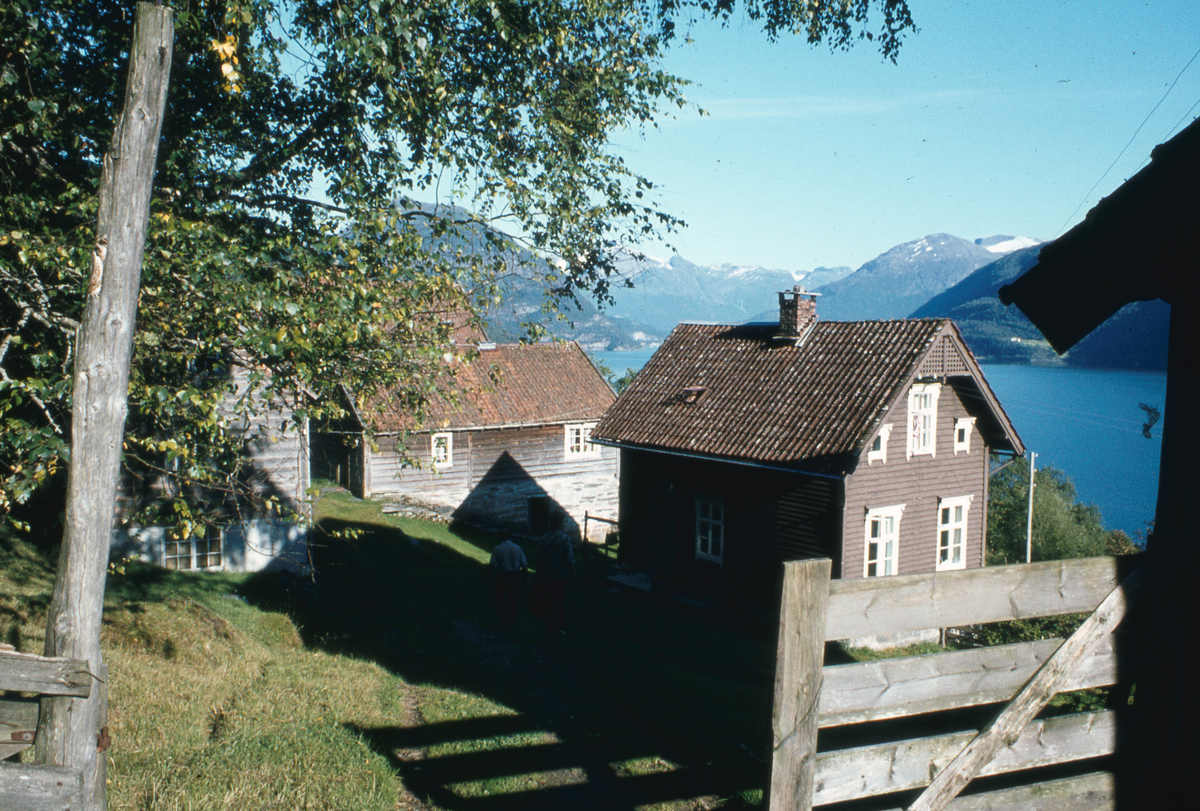 Bilder fra Sogn og Fjordane. 1981