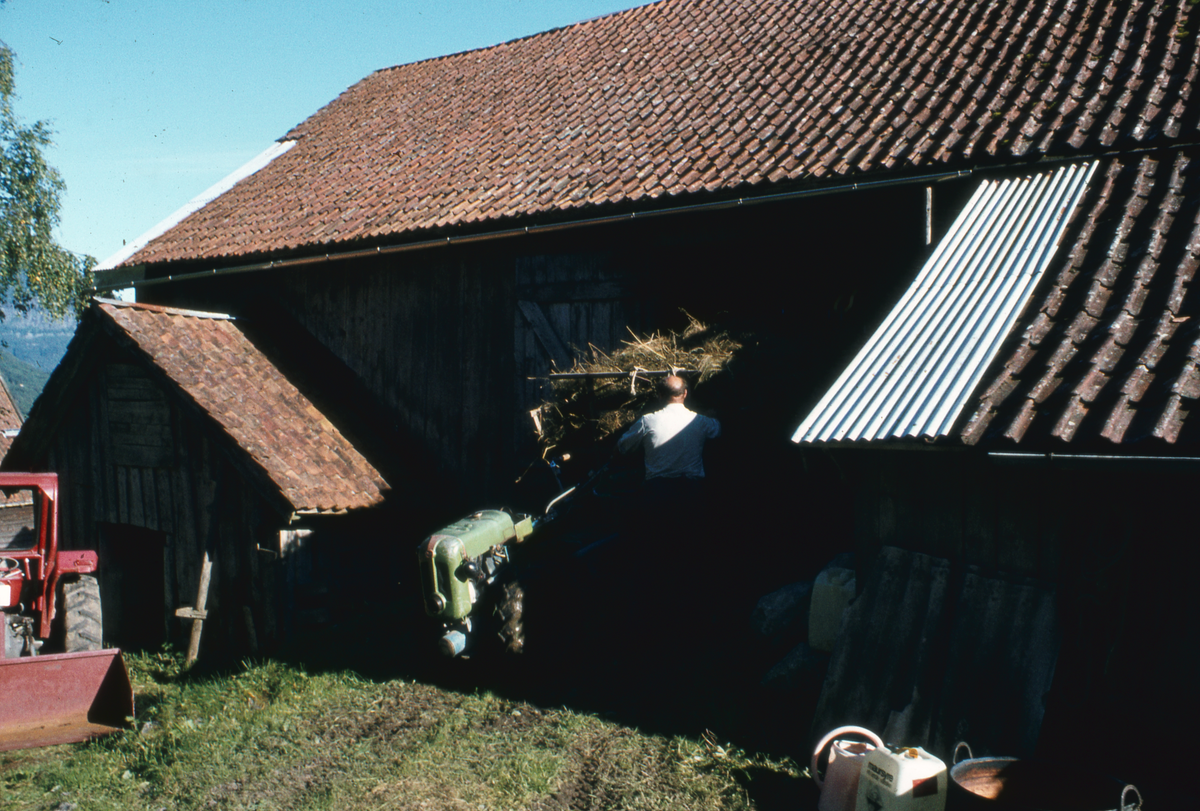 Bilder fra Sogn og Fjordane. 1981