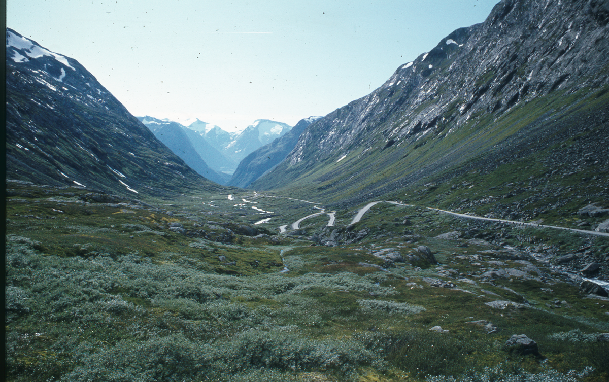 Bilder fra Sogn og Fjordane. 1981