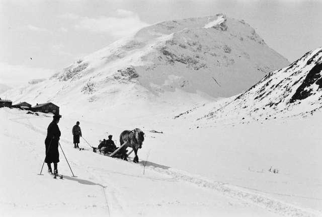 Prot: Jotunheimen,  Spiterstulen