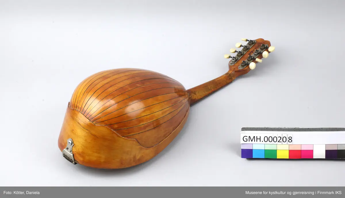 Mandolin med pæreformet resonanskasse, avvinklet lokk, en sterk hvelvet bunn, kort hals og åtte strenger. Instrumentet er produsert i Italia.
