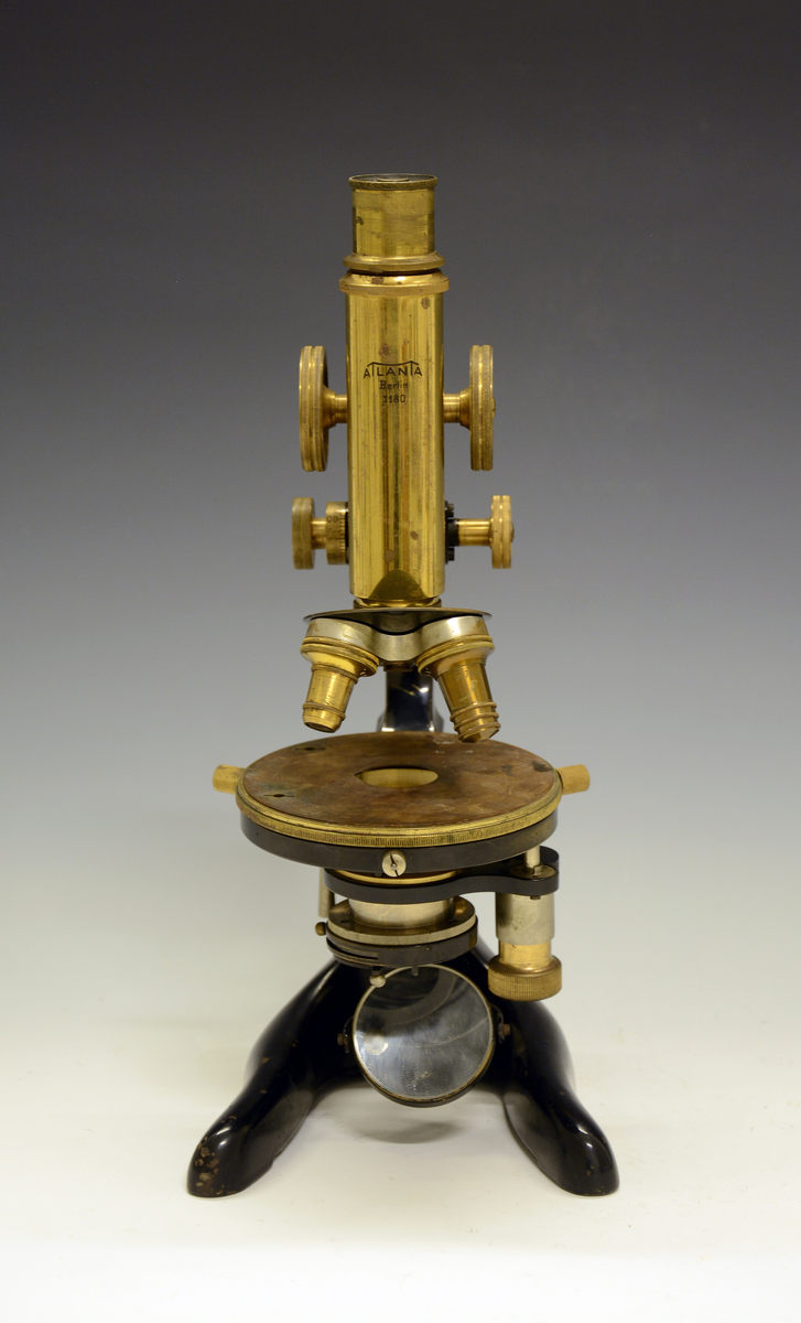 Mikroskop med tung, gaffelformet fot hvorpå henglset er bøyle som kan dreies i vinkel på 90 grader. Fot og bøyle av sortlakkert stål. Bøylen bærer øverst et rør som med drev og tannstang kan reguleres opp og ned ved en grovskrue øverst og en finskrue nederst. Øverst i røret uttrekkbart okular, nederst revolver med 3 objektiver hvorav det ene mangler. Under objektivene et sirkulært, regulerbart bord med hull for belysning av objektet. Under bordet belysningsapparat som nederst har et dreibart speil med plant speil på den ene side og hulspeil på den andre siden. Speilet reflekterer strålene fra en lyskilde opp mot en kondensor som kan reguleres i forskj. avstand fra bordet. Kondensoren har nederst en regulerbar isisblender. Røret er merket "ATLANTA Berlin 1180".