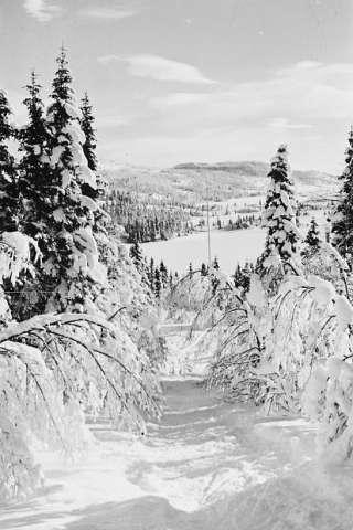 Prot: Tuddal  Vinter