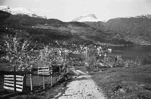 Prot: Ulvik