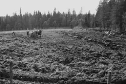 Prot: Ny brytning av myrjord