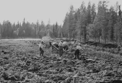 Prot: Ny brytning av myrjord