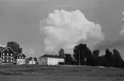 Prot:  Sønsterudgård