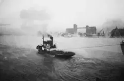 Prot:  Nyland  "" Sigrid Reuter ""