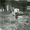 Gunnilbo sn, Naddebo.
Slåtter kring boningshuset, 1937.